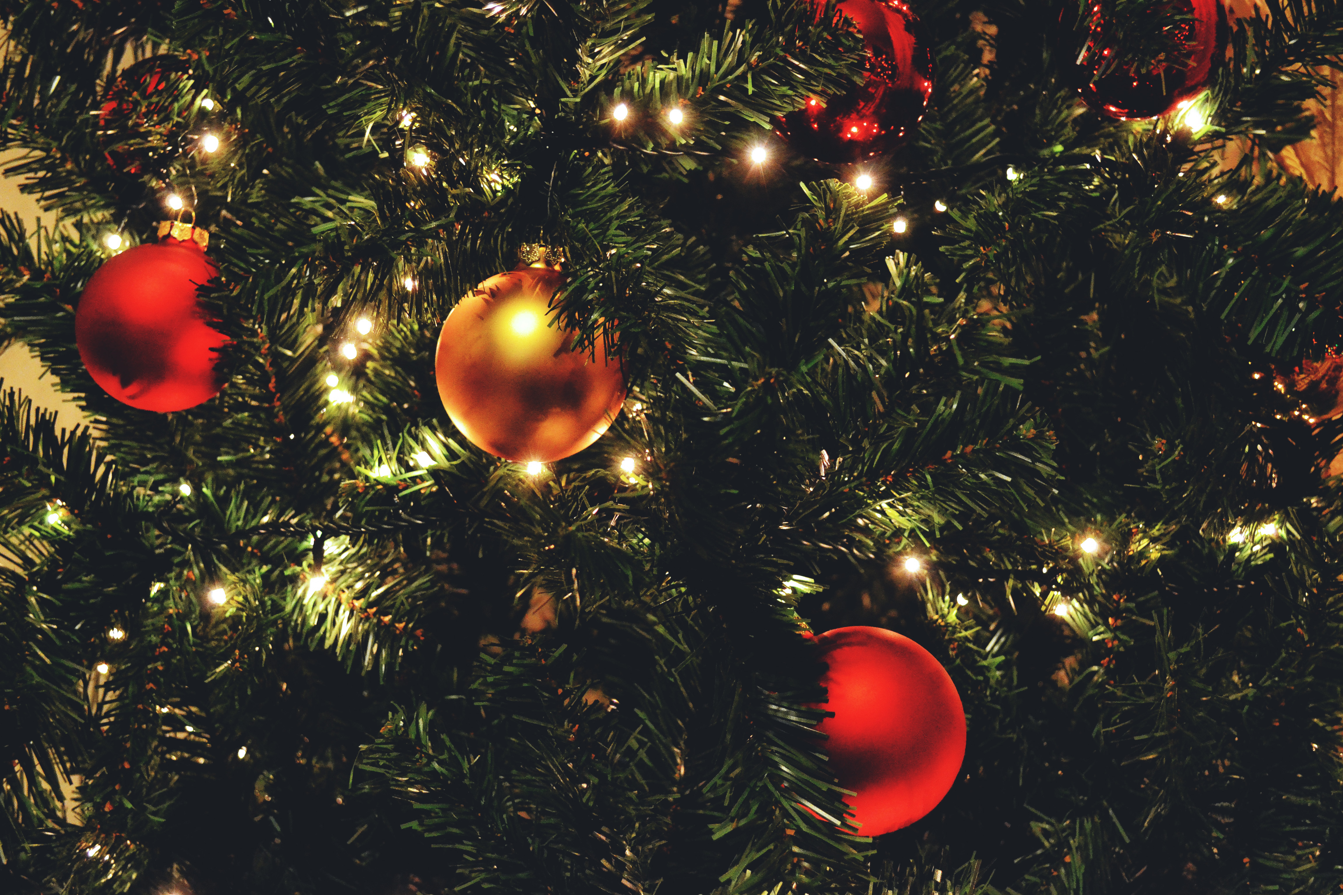 christmas-tree-lights.jpg