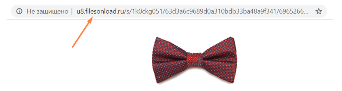 49160-1717054400471-i54w43bh.png